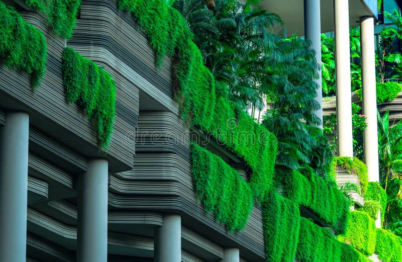 Eco vänlig byggnad med den vertikala trädgården i modern stad Grön växt och trädskog och murgröna på fasad på hållbar byggnad arkivfoton