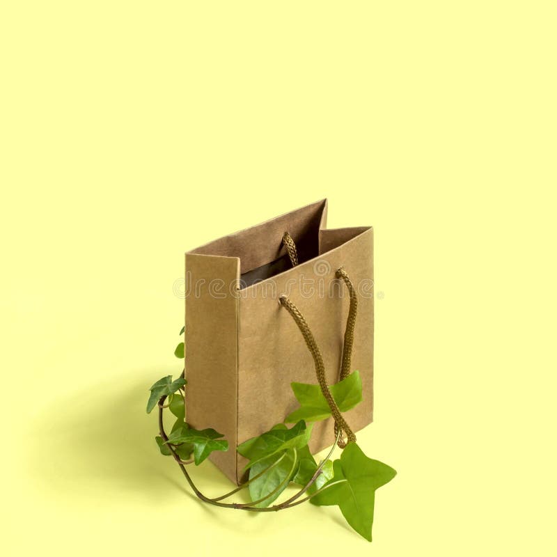 Eco-vänskapsmatch shoppingpåse med filialen av den gröna växten royaltyfri foto