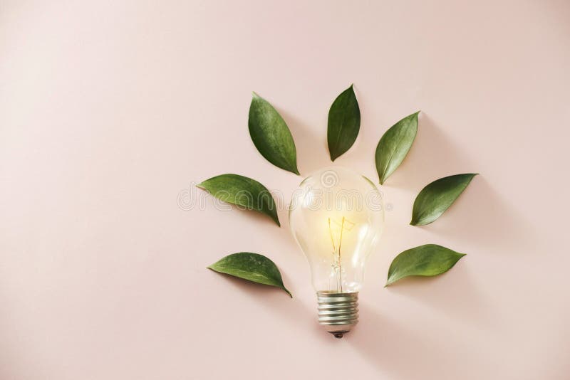 Eco zielenieje energetyczn? poj?cie ?ar?wk?, lightbulb li?cie na r??owym tle zdjęcia stock Eco zielenieje energetyczn? poj?cie ?ar?wk?, lightbulb li?cie na r??owym tle zdjęcia stock