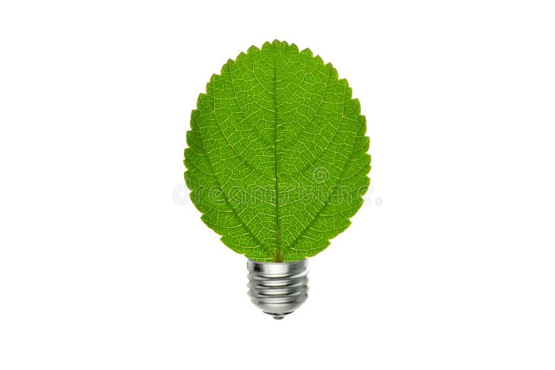 Eco zielenieje liść i żarówkę, środowiska życzliwy pojęcie obraz royalty free Eco zielenieje liść i żarówkę, środowiska życzliwy pojęcie obraz royalty free