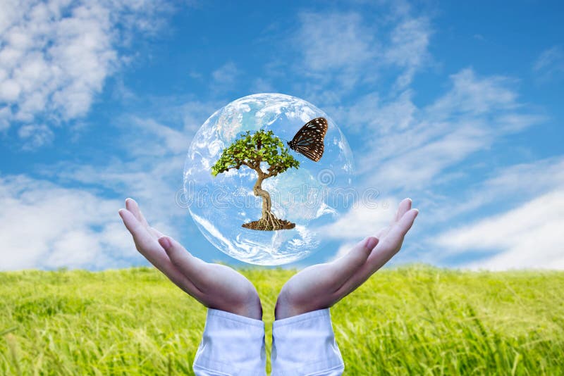 Ecologia e ambiente. planeta e árvore com borboleta em mãos humanas sobre a natureza verde e céu