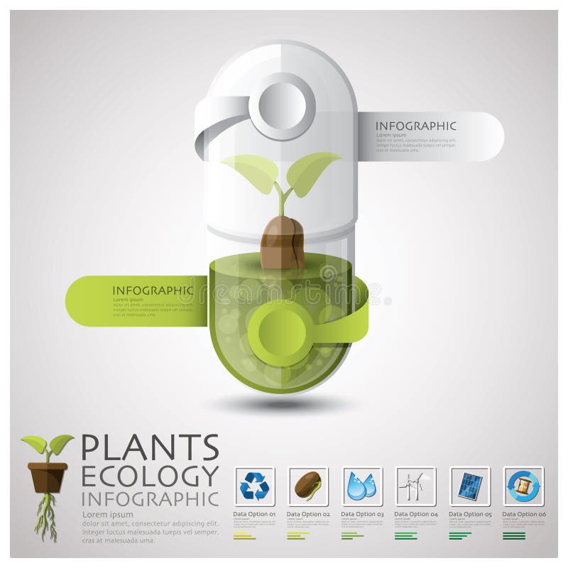 Pill Capsule Plant Ecology And Environment Infographic Design Template. Pill Capsule Plant Ecology And Environment Infographic Design Template