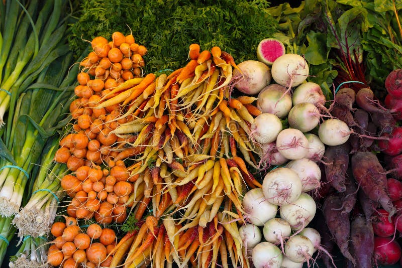 Farm market photo with different vegetables and greens. Organic products and healthy lifestyle. royalty free stock image Farm market photo with different vegetables and greens. Organic products and healthy lifestyle. royalty free stock image