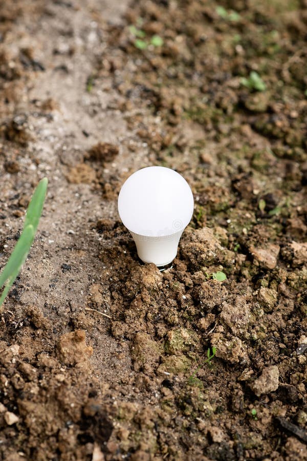 Ecological Energy Concept. Light Bulb in the Ground Stock Image Image