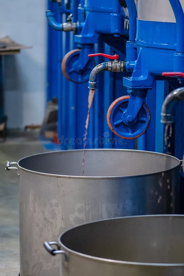 786 Ecological Olive Oil Production Stock Photos Free & RoyaltyFree