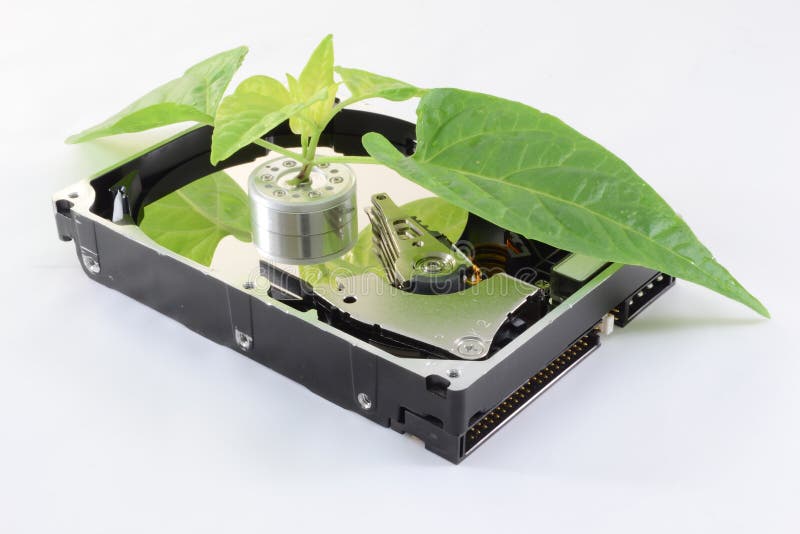 Ecological hard disk stock photo