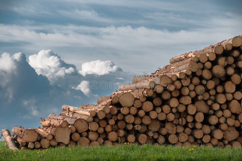 Ecology Deforestation and Wood Industry Stock Photo Image of paper
