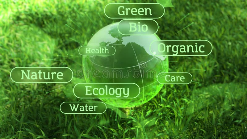 Ecology environment design text concept, glass globe in the green grass stock illustration