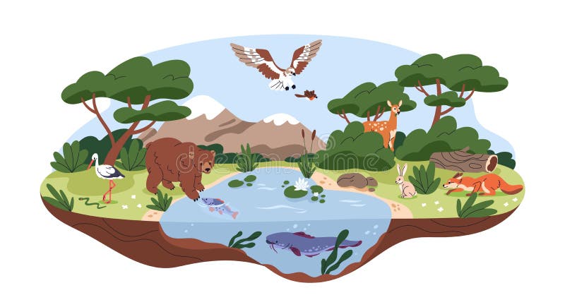 Animal Habitats Stock Illustrations – 213 Animal Habitats Stock Illustrations, Vectors & Clipart - Dreamstime Animal Habitats Stock Illustrations – 213 Animal Habitats Stock Illustrations, Vectors & Clipart - Dreamstime