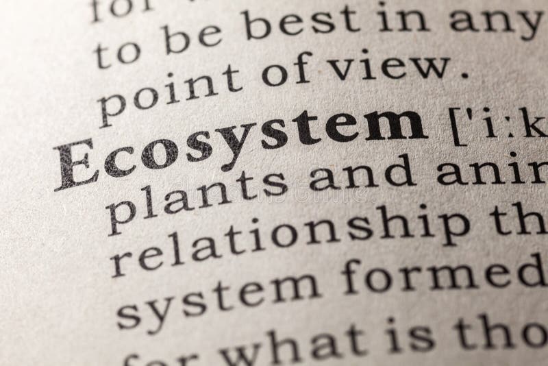 Definition of the word ecosystem