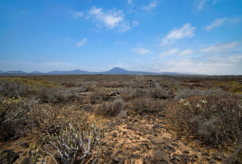 Vegetation, Ecosystem, Shrubland, Sky Picture. Image 110615076