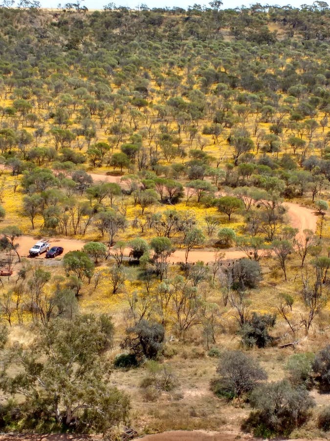 Ecosystem, Vegetation, Shrubland, Wilderness Picture. Image 125934962