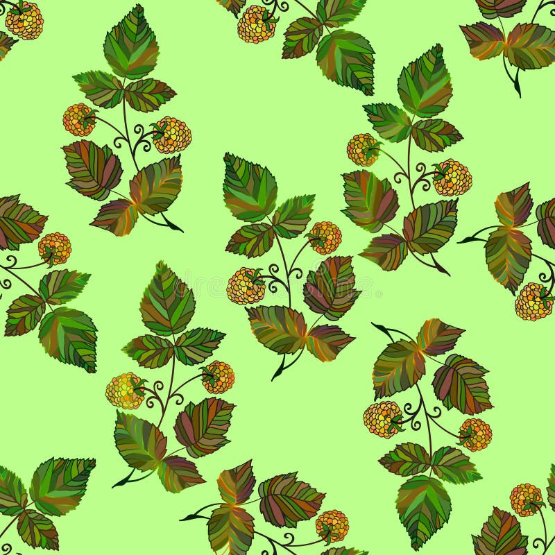 Ector colored raspberry pattern vector illustration Ector colored raspberry pattern vector illustration