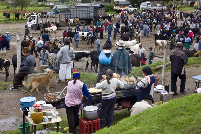 Ecuador - Otavalo Livestock Market