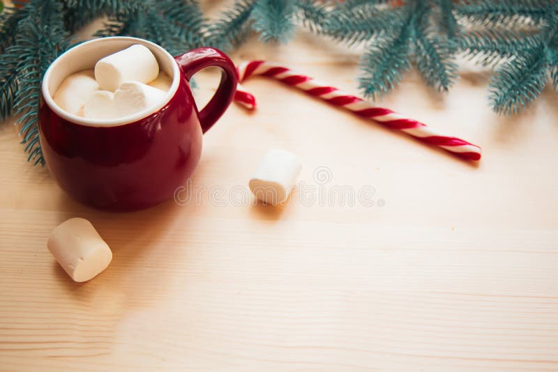 ed cups with hot chocolate or cocoa and marshmallow with Candy stick. Christmas concept with fir tree branches. Close-up