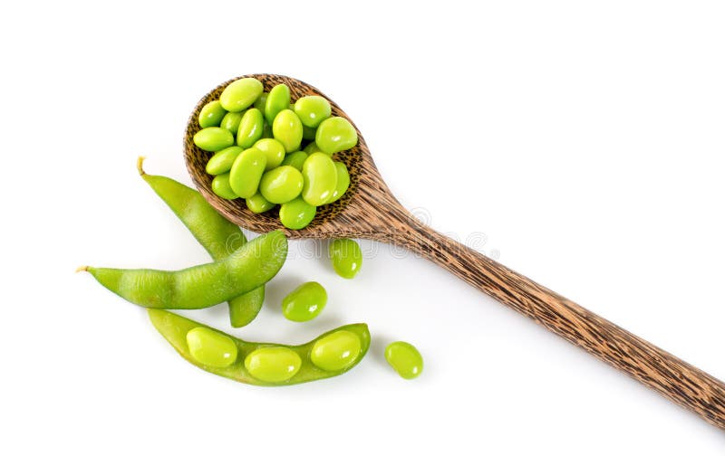Edamame Beans Isolated on White Background Stock Photo Image of