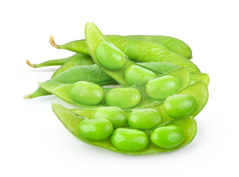 Edamame Beans Isolated on White Background Stock Photo Image of