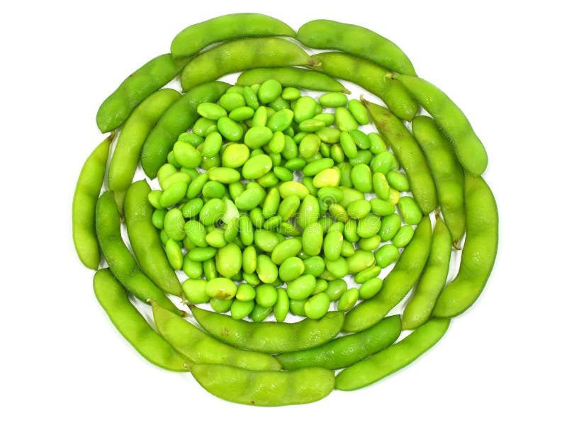 Edamame Soy Beans Shelled and Pods Stock Image Image of snack