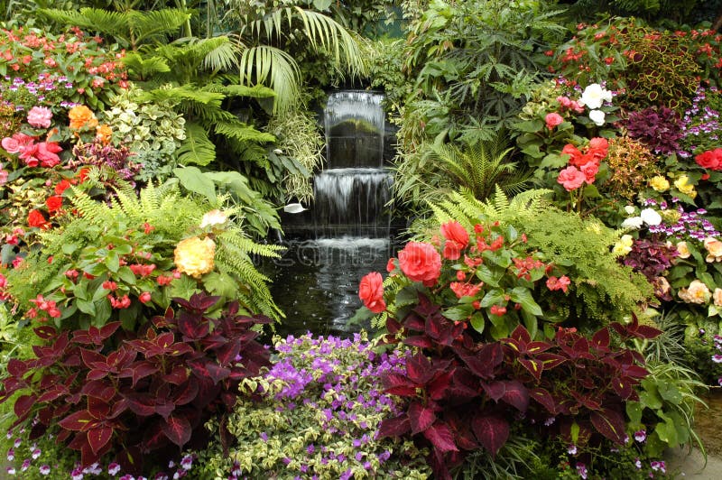 eden garden eden garden