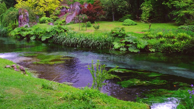 Eden garden brook gushing on river stream water in autumn