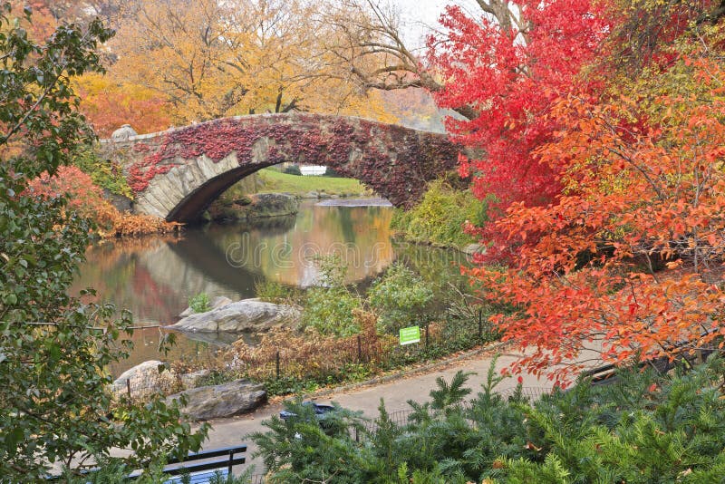 Edera rossa sul ponte di Central Park fotografie stock libere da diritti