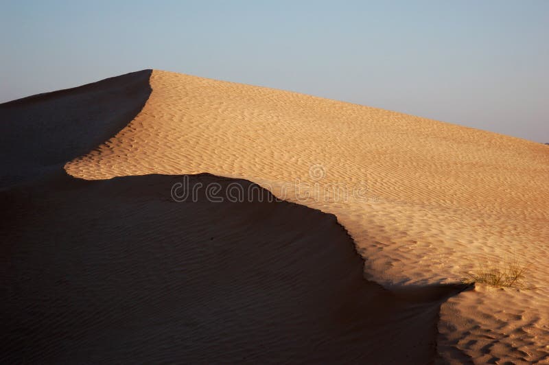 Edge of dune