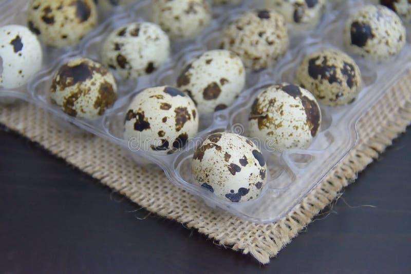 Edge Od Plastic Package Quail Eggs Stock Photos Free & RoyaltyFree