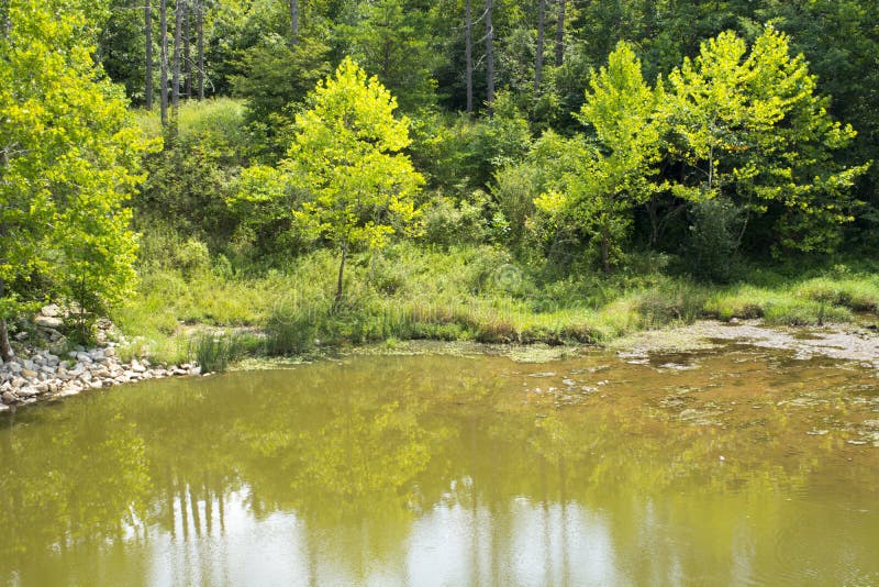 The edge of the overflow stock image