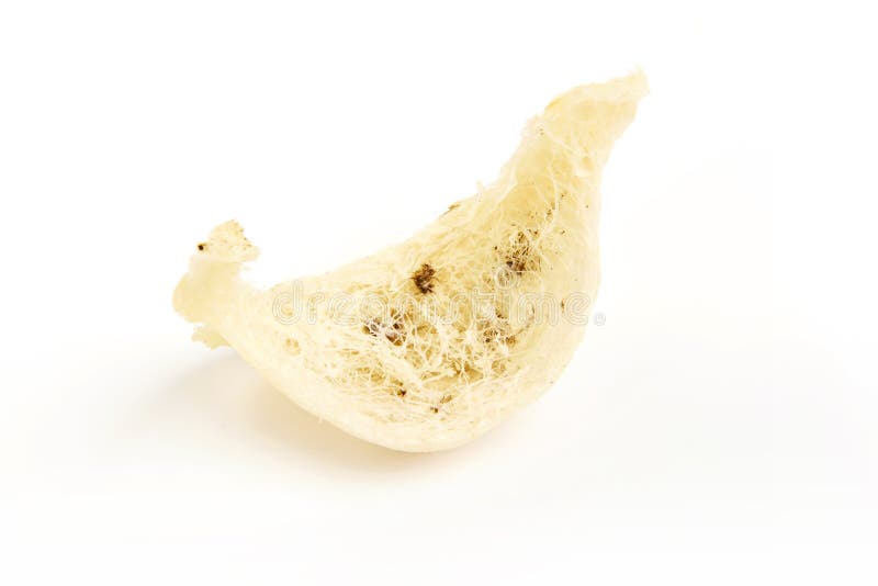 Edible bird`s nest stock photo. Image of saliva, asia 97604182