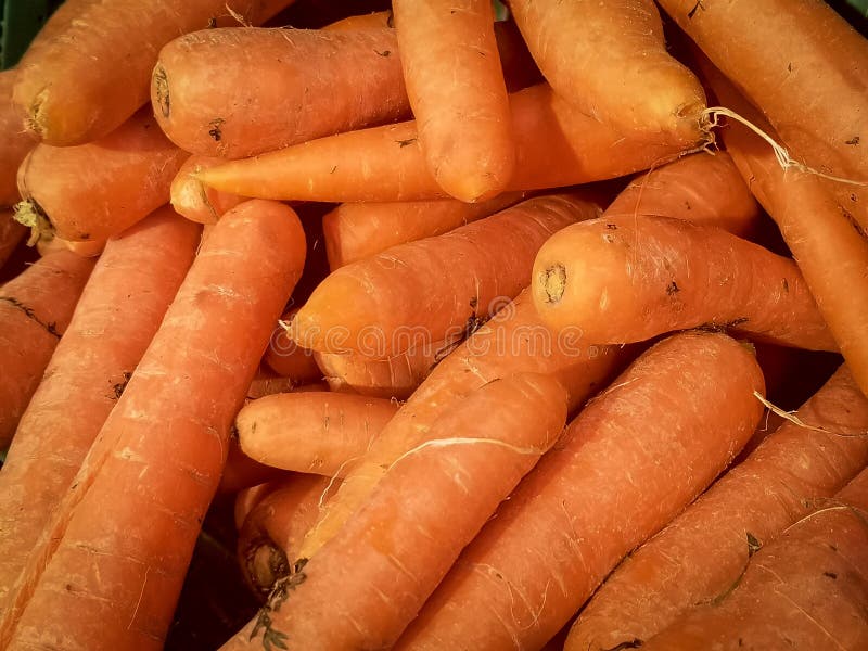 Edible Carrots Displayed at a Fruit and Vegetable Market Stock Photo