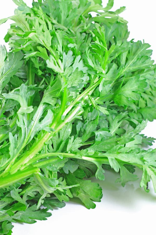 Edible Chrysanthemum stock image. Image of crop, background 23789707