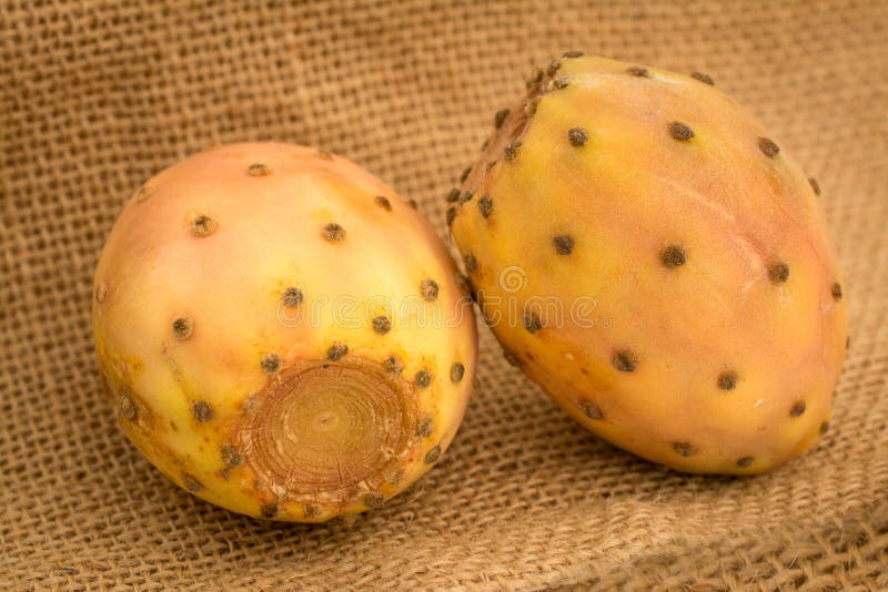 Edible Prickly Pear Cactus Fruit Ready To Eat Stock Image Image of