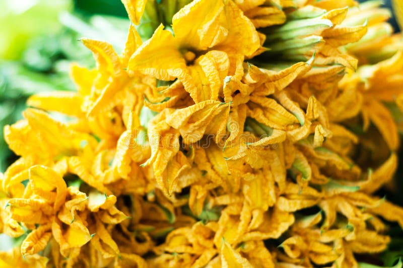 Edible Pumpkin Flowers on Market Stock Photo Image of beauty, leaf