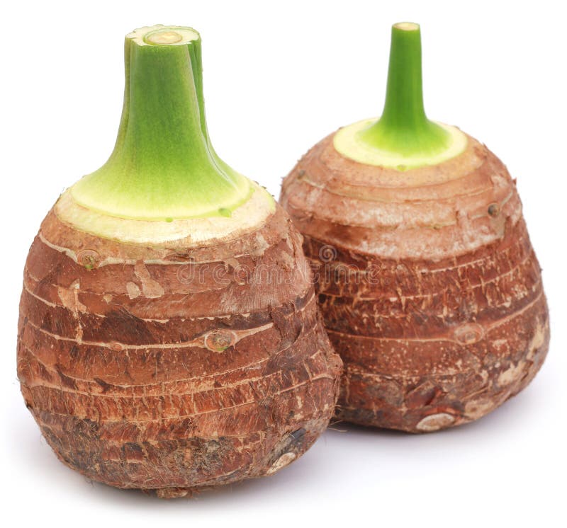 Edible root of colocasia stock image. Image of tarul 85007545