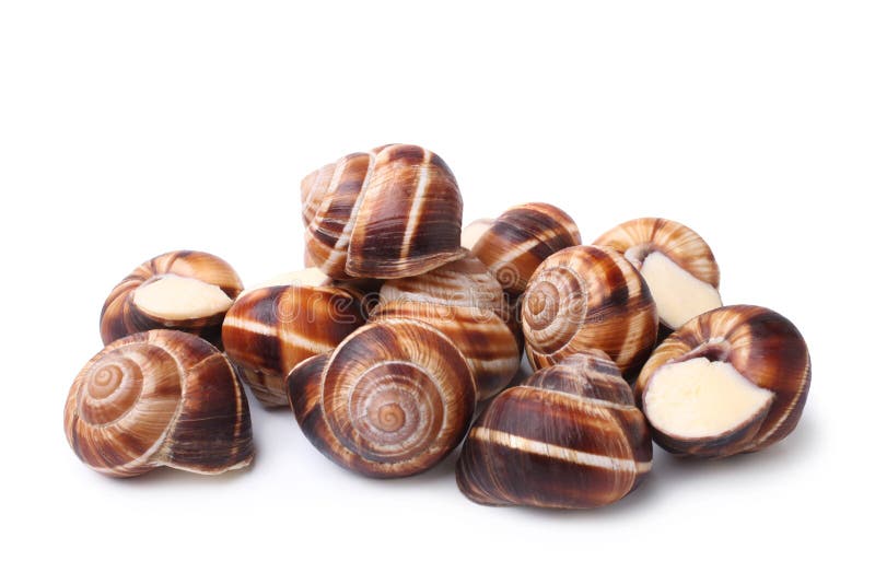 Edible Snails Closeup Sale Stock Photo Image of croatia, fresh