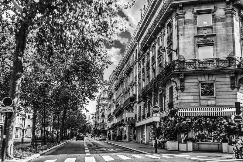 Edifícios de luxo e árvores verdes em Paris a preto e branco imagem de stock