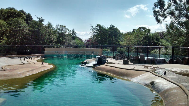 Edinburgh Zoo Rzss Stock Photos - Free & Royalty-Free Stock Photos from