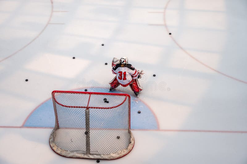 Ice hockey at the West Edmonton Mall royalty free stock photo