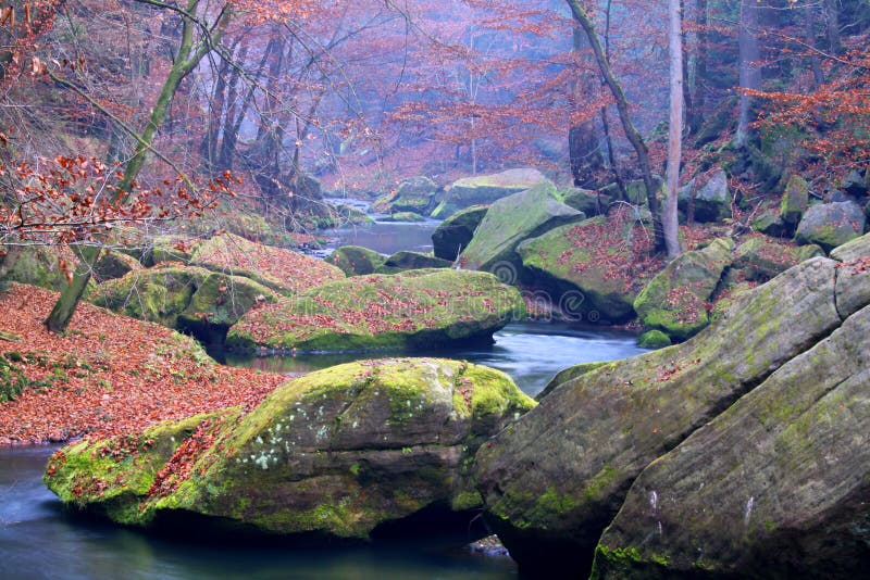 River Kamenice