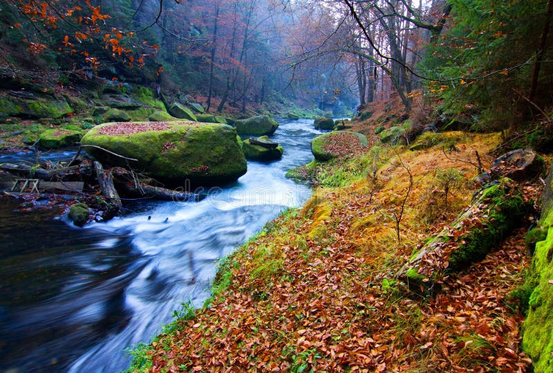 River Kamenice