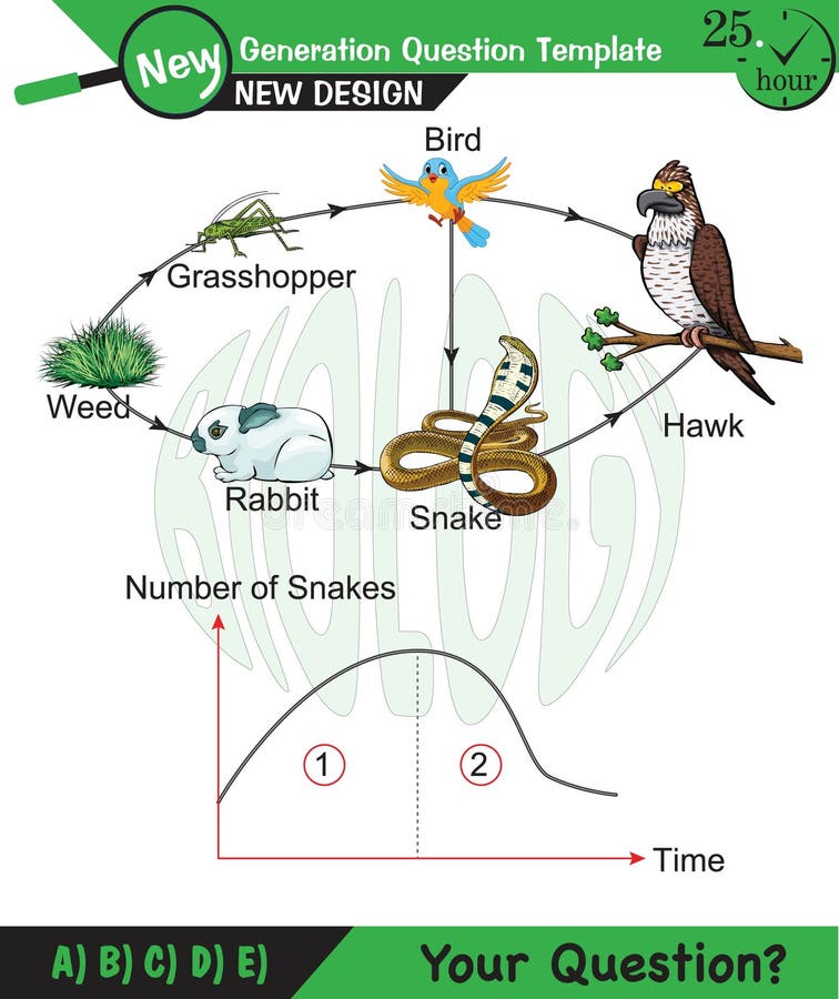 Food Chain Wolf Stock Illustrations – 39 Food Chain Wolf Stock ... Biology Diagrams