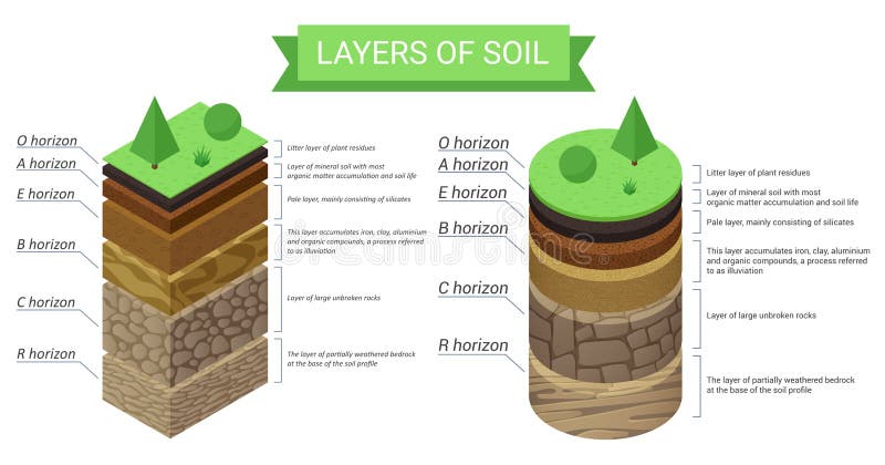 Education isometric diagram and detailed description of soil layers. Plant residue, green grass, fine mineral particles