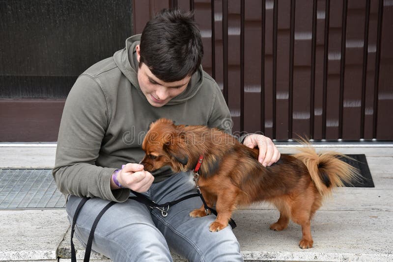 Boy trains and plays with his little mongrel dog stock photo Boy trains and plays with his little mongrel dog stock photo