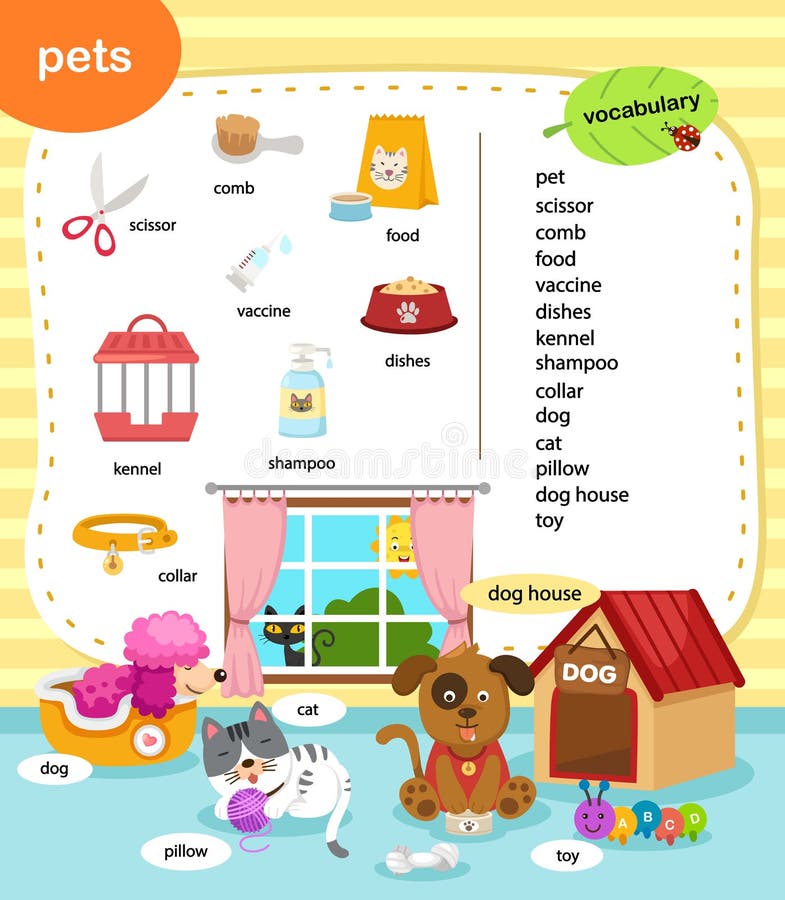 Pets vocabulary. Education Vocabulary. Keeping Pets Vocabulary. Houses for Pets Vocabulary for children.