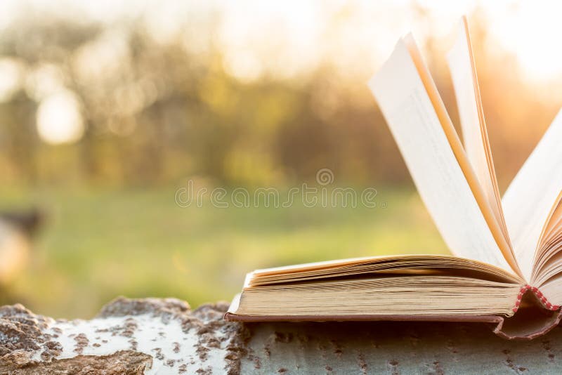 Education and wisdom concept - open book under sunlight