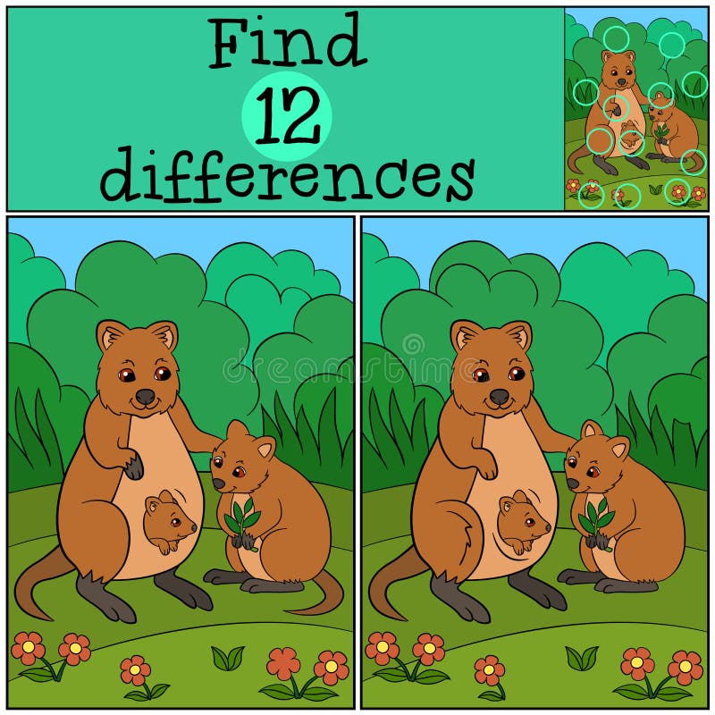 Educational game: Find differences. Mother quokka with her babies