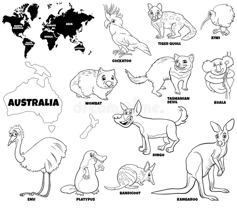 Educational Illustration Australian Animals Set Stock Illustrations – 6