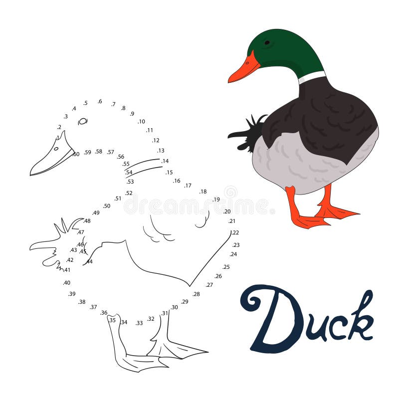 Edukacyjna gra łączy kropki rysować kaczka ptaka royalty ilustracja