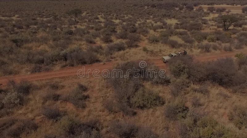 Een auto met de ritten van een hoge snelheidsjager door de savanne