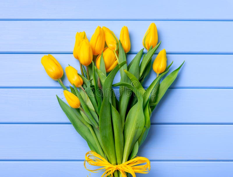 Een boeket van gele tulpen op een lijst van blauwe houten raad stock foto's Een boeket van gele tulpen op een lijst van blauwe houten raad stock foto's